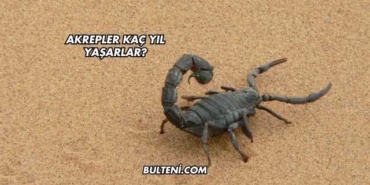 Akrepler Kaç Yıl Yaşarlar?