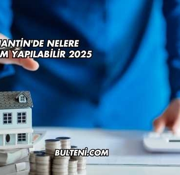 Arjantin'de Nelere Yatırım Yapılabilir 2025