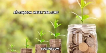 Bilançoda Neler Yer Alır?