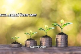 Çekya Asgari Ücret 2025