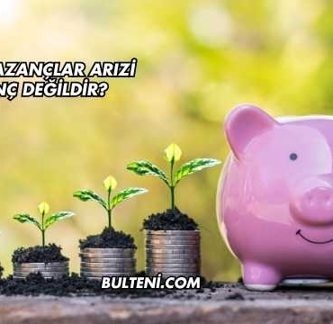 Hangi Kazançlar Arızi Kazanç Değildir?