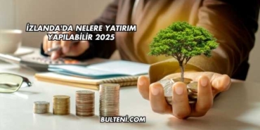 İzlanda'da Nelere Yatırım Yapılabilir 2025