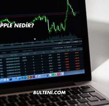 Ripple Nedir?
