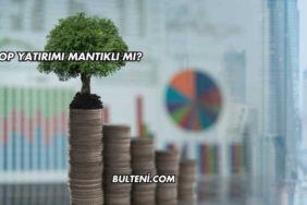 VİOP Yatırımı Mantıklı mı?