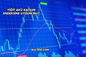 Yiğit Akü Katılım Endeksine Uygun mu?