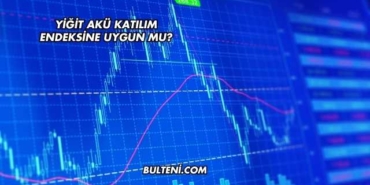 Yiğit Akü Katılım Endeksine Uygun mu?