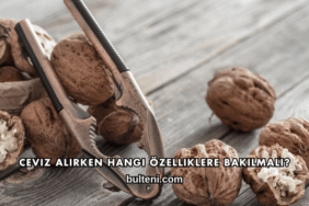 Ceviz Alırken Hangi Özelliklere Bakılmalı?