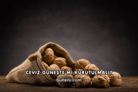 Ceviz Güneşte mi Kurutulmalı?