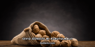 Ceviz Güneşte mi Kurutulmalı?