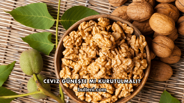 Ceviz Güneşte mi Kurutulmalı?