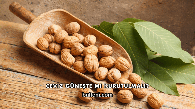 Ceviz Güneşte mi Kurutulmalı?