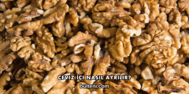 Ceviz İçi Nasıl Ayrılır?