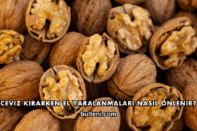 Ceviz Kırarken El Yaralanmaları Nasıl Önlenir?