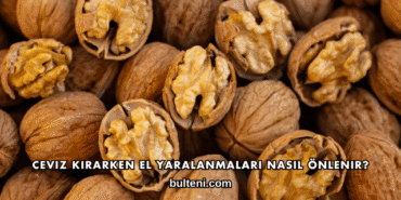 Ceviz Kırarken El Yaralanmaları Nasıl Önlenir?