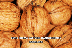 Ceviz Kırma Aletleri Hangileridir?