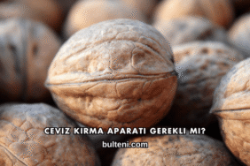 Ceviz Kırma Aparatı Gerekli mi?