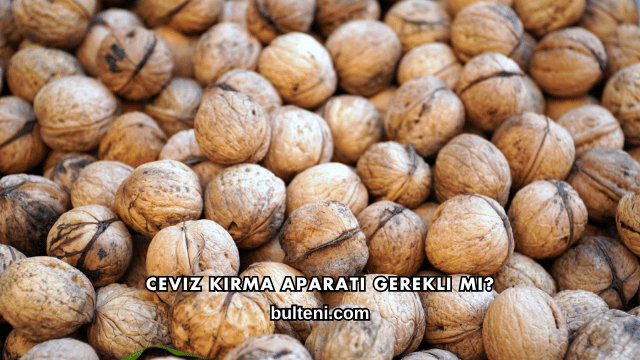 Ceviz Kırma Aparatı Gerekli mi?