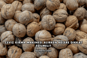 Ceviz Kırma Makinesi Alırken Nelere Dikkat Edilmeli?