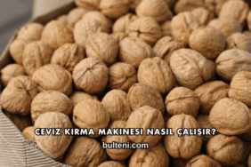 Ceviz Kırma Makinesi Nasıl Çalışır?