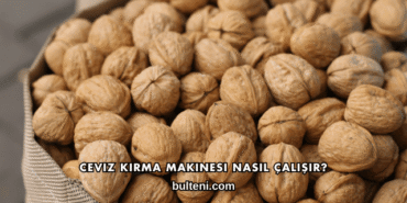 Ceviz Kırma Makinesi Nasıl Çalışır?