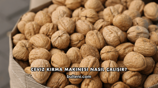Ceviz Kırma Makinesi Nasıl Çalışır?