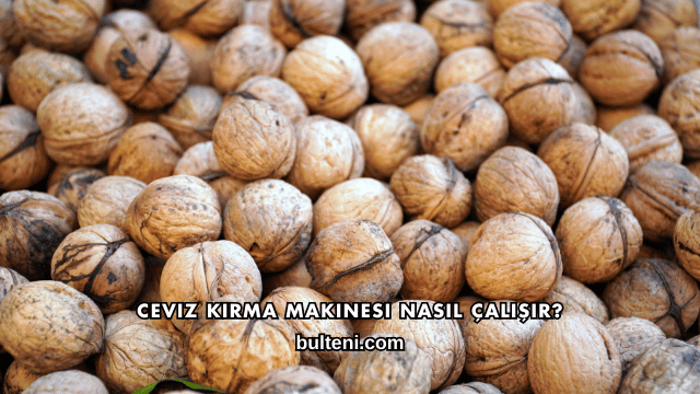 Ceviz Kırma Makinesi Nasıl Çalışır?