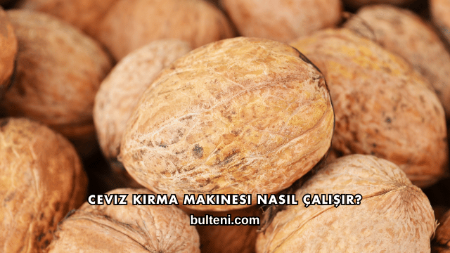 Ceviz Kırma Makinesi Nasıl Çalışır?