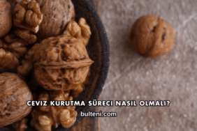 Ceviz Kurutma Süreci Nasıl Olmalı?