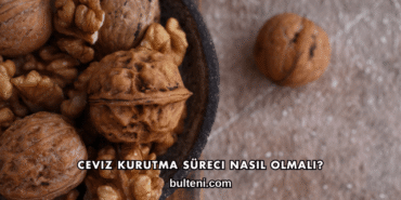 Ceviz Kurutma Süreci Nasıl Olmalı?
