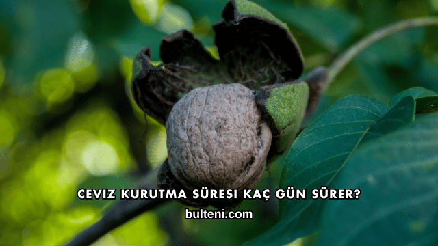 Ceviz Kurutma Süresi Kaç Gün Sürer?