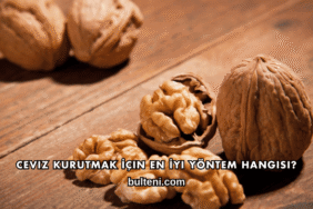 Ceviz Kurutmak İçin En İyi Yöntem Hangisi?