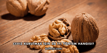 Ceviz Kurutmak İçin En İyi Yöntem Hangisi?