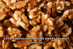 Ceviz Kurutulurken Nelere Dikkat Edilmeli?
