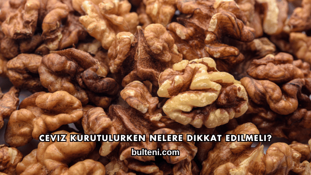 Ceviz Kurutulurken Nelere Dikkat Edilmeli?