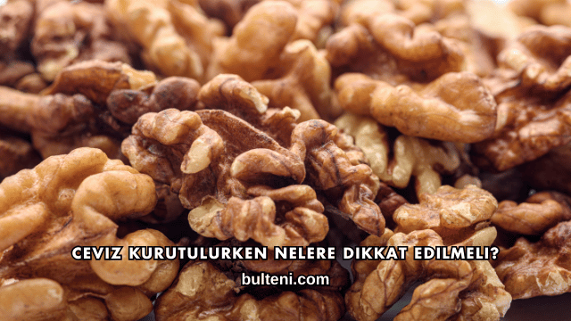 Ceviz Kurutulurken Nelere Dikkat Edilmeli?