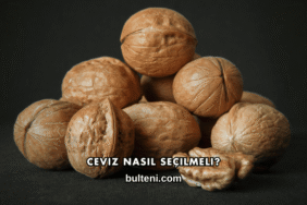 Ceviz Nasıl Seçilmeli?