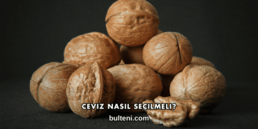 Ceviz Nasıl Seçilmeli?
