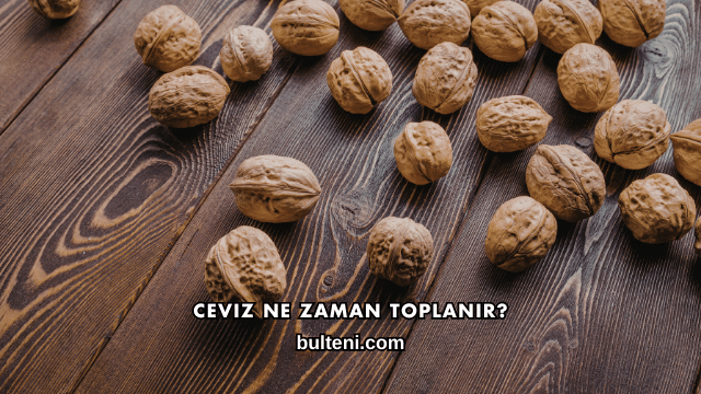 Ceviz Ne Zaman Toplanır?