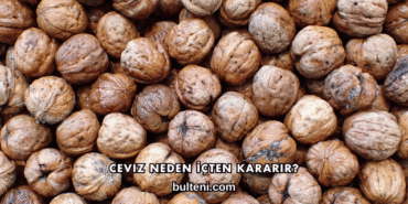 Ceviz Neden İçten Kararır?