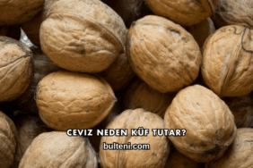 Ceviz Neden Küf Tutar?