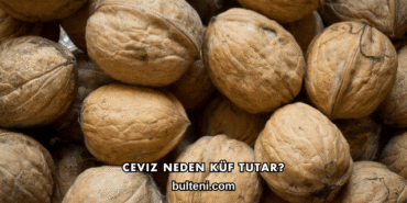 Ceviz Neden Küf Tutar?