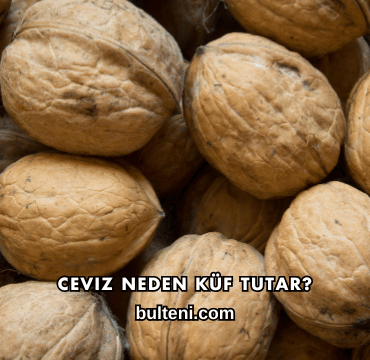 Ceviz Neden Küf Tutar?