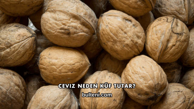 Ceviz Neden Küf Tutar?