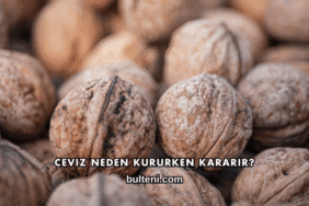 Ceviz Neden Kururken Kararır?