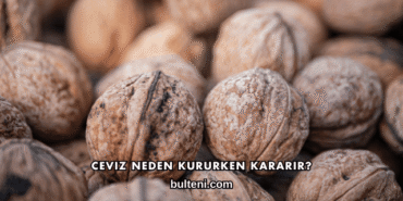Ceviz Neden Kururken Kararır?
