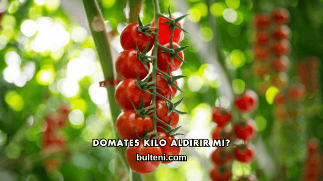 Domates Kilo Aldırır mı?
