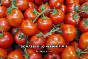 Domates Kilo Verdirir mi?
