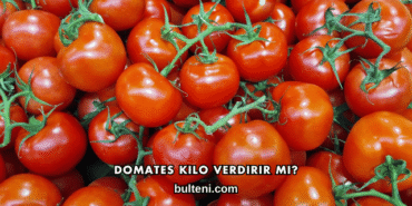 Domates Kilo Verdirir mi?