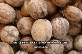 En Lezzetli Ceviz Nasıl Anlaşılır?