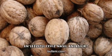 En Lezzetli Ceviz Nasıl Anlaşılır?
